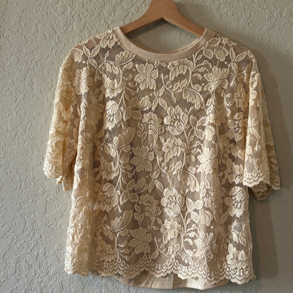 Dolan Brand Champagne Colored Lace Overlay Camisole Top Blouse Cream Color Beige